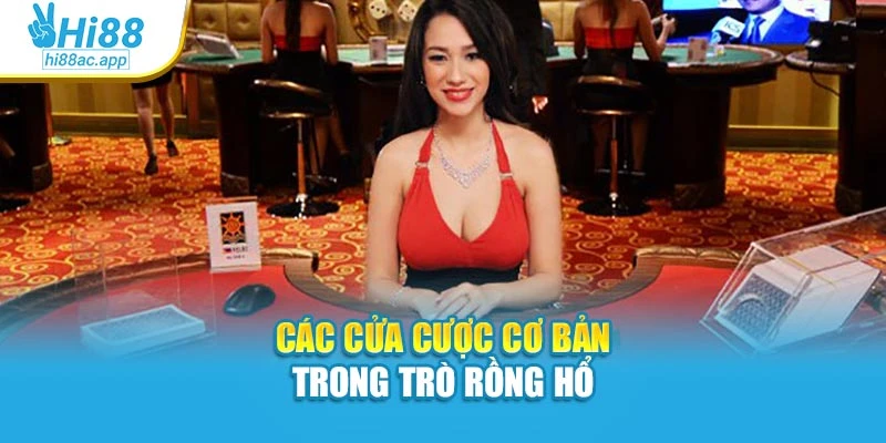 Các cửa cược cơ bản trong trò Rồng Hổ